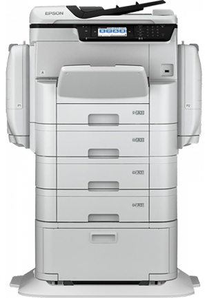Epson C11CF34401BP