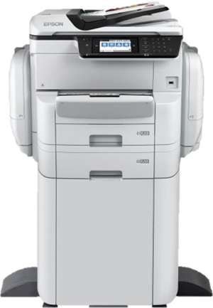 Epson C11CF34401BR