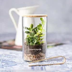 regalo promocional miniterrario