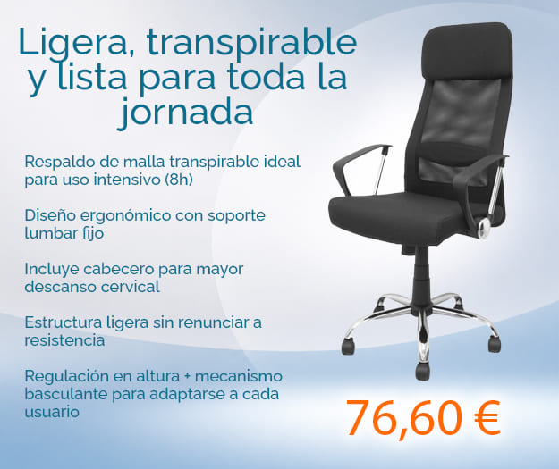 Silla de oficina negra Esteras